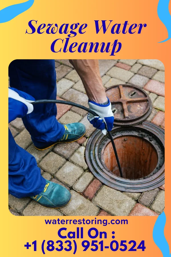 Sewage Water Cleanup in Mundelein, IL